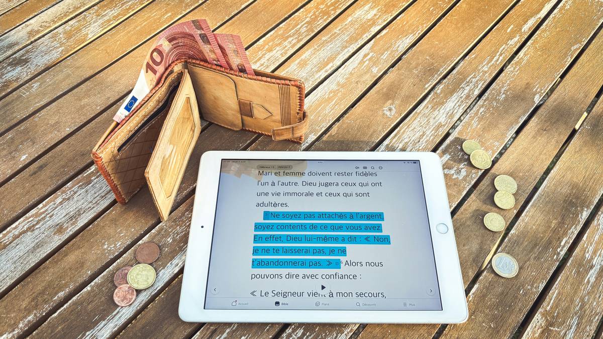 Travel budget template in action on mobile coaching app with expense alerts