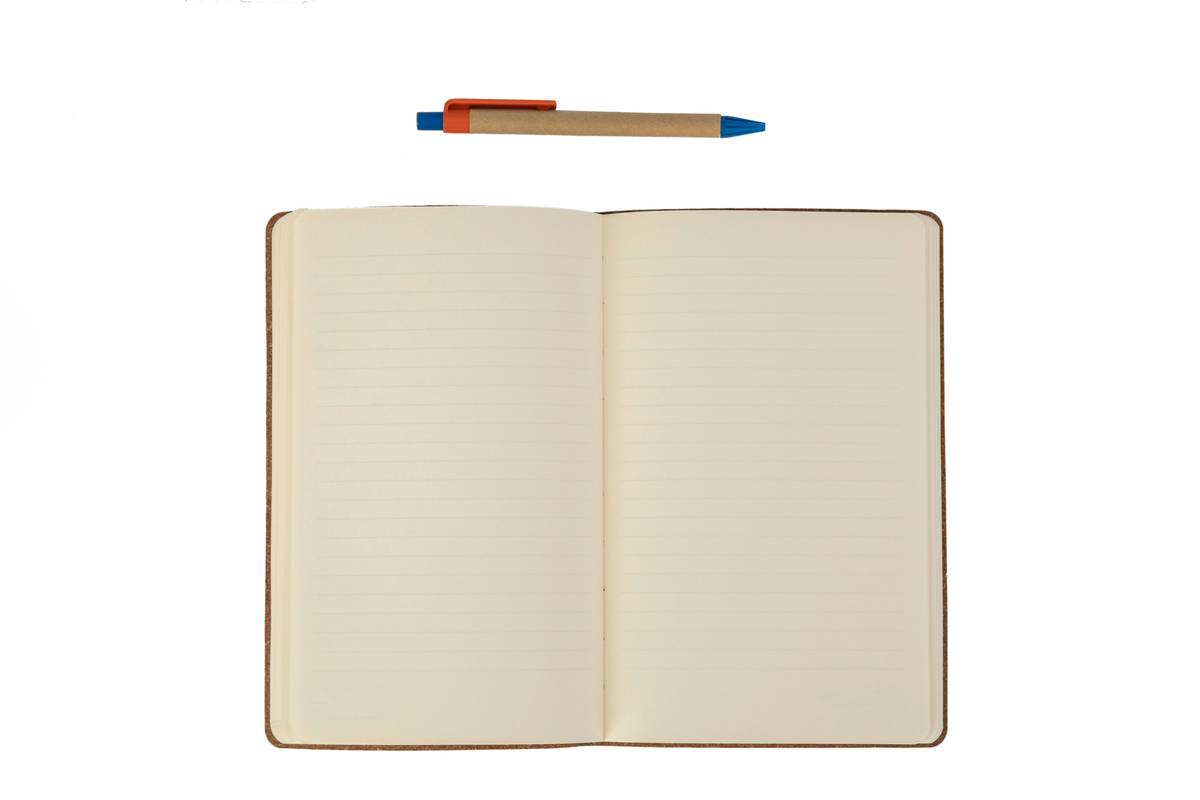 Side-by-side comparison showing filled-out budget planner printable PDF versus blank app interface